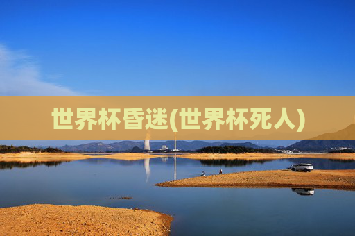 世界杯昏迷(世界杯死人)