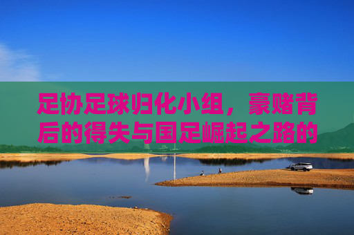足协足球归化小组，豪赌背后的得失与国足崛起之路的深度反思