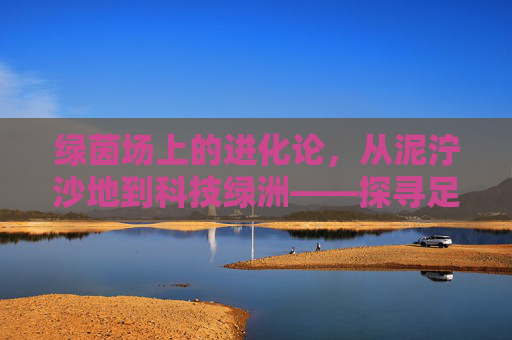 绿茵场上的进化论，从泥泞沙地到科技绿洲——探寻足球草皮的历史记录