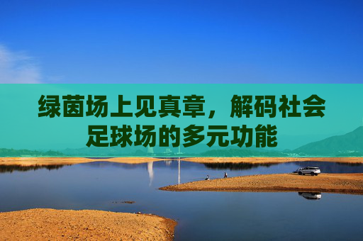 绿茵场上见真章，解码社会足球场的多元功能