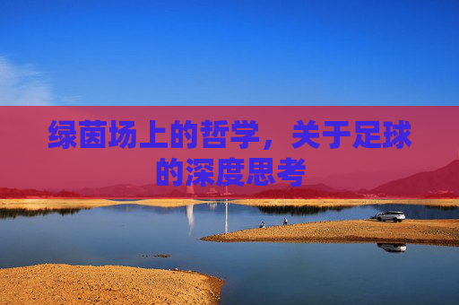绿茵场上的哲学，关于足球的深度思考