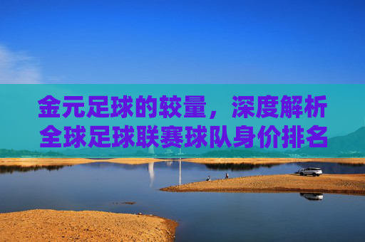 金元足球的较量，深度解析全球足球联赛球队身价排名