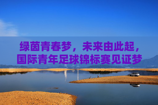 绿茵青春梦,未来由此起,国际青年足球锦标赛见证梦想起航