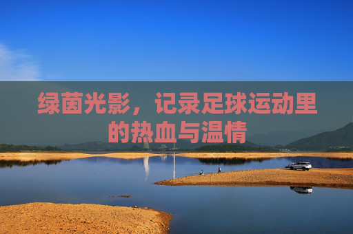 绿茵光影，记录足球运动里的热血与温情