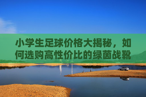 小学生足球价格大揭秘,如何选购高性价比的绿茵战靴?