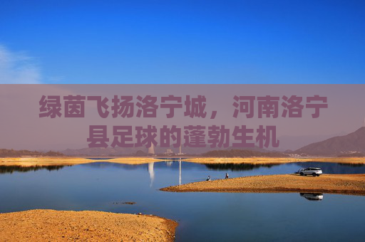 绿茵飞扬洛宁城，河南洛宁县足球的蓬勃生机