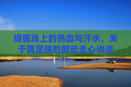 绿茵场上的热血与汗水，关于踢足球的那些走心说说