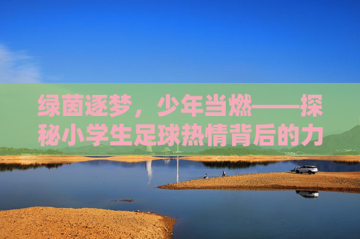 绿茵逐梦,少年当燃——探秘小学生足球热情背后的力量