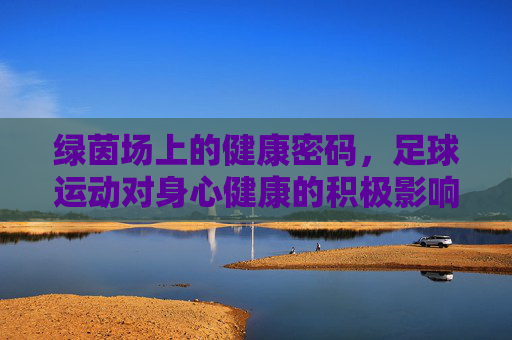 绿茵场上的健康密码，足球运动对身心健康的积极影响与机制研究