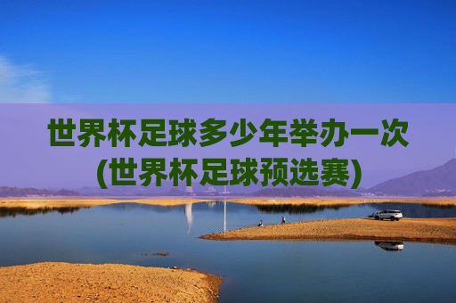 世界杯足球多少年举办一次(世界杯足球预选赛)