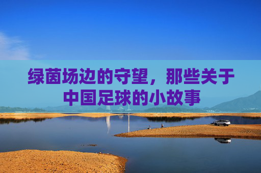 绿茵场边的守望,那些关于中国足球的小故事