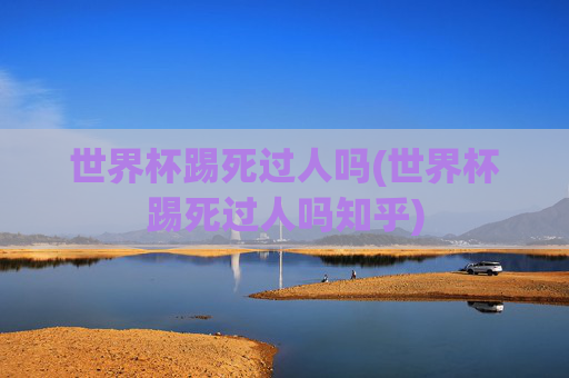 世界杯踢死过人吗(世界杯踢死过人吗知乎)