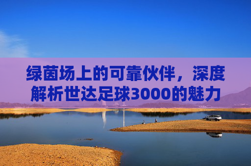 绿茵场上的可靠伙伴,深度解析世达足球3000的魅力