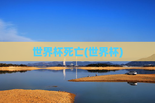 世界杯死亡(世界杯)