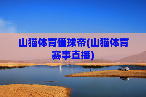 山猫体育懂球帝(山猫体育赛事直播)