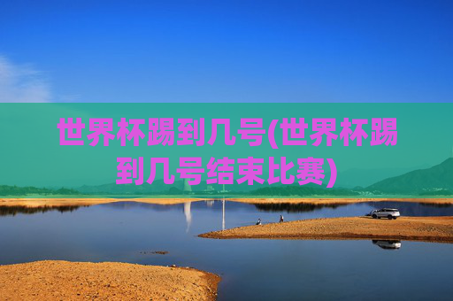世界杯踢到几号(世界杯踢到几号结束比赛)