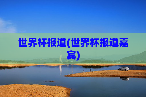 世界杯报道(世界杯报道嘉宾)