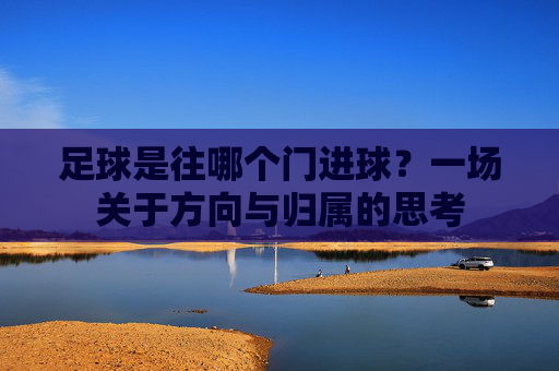 足球是往哪个门进球?一场关于方向与归属的思考