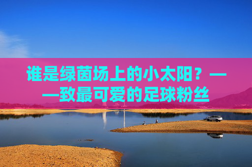 谁是绿茵场上的小太阳？——致最可爱的足球粉丝