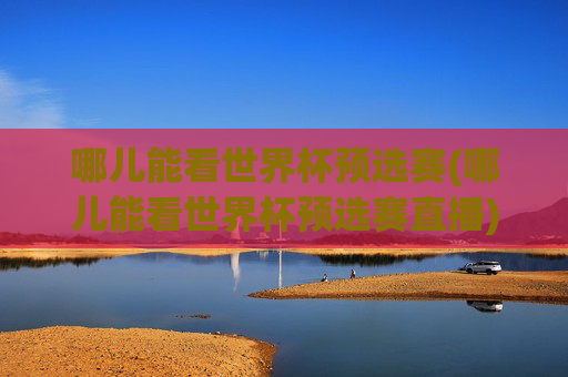 哪儿能看世界杯预选赛(哪儿能看世界杯预选赛直播)