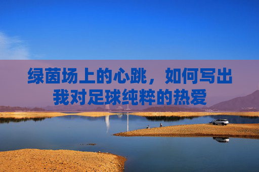 绿茵场上的心跳,如何写出我对足球纯粹的热爱