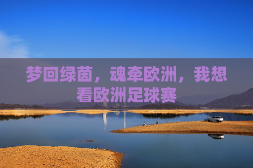 梦回绿茵，魂牵欧洲，我想看欧洲足球赛