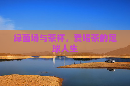 绿茵场与茶杯，爱喝茶的足球人生