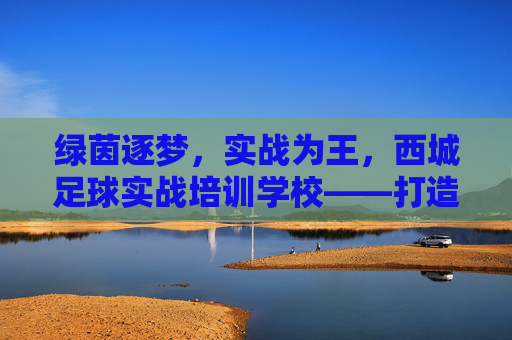绿茵逐梦，实战为王，西城足球实战培训学校——打造未来足球之星的摇篮