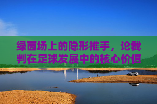 绿茵场上的隐形推手，论裁判在足球发展中的核心价值