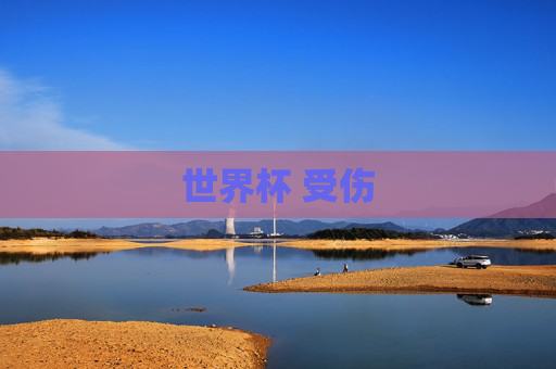 世界杯 受伤