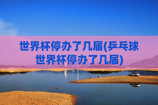 世界杯停办了几届(乒乓球世界杯停办了几届)