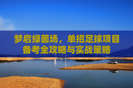 梦启绿茵场,单招足球项目备考全攻略与实战策略