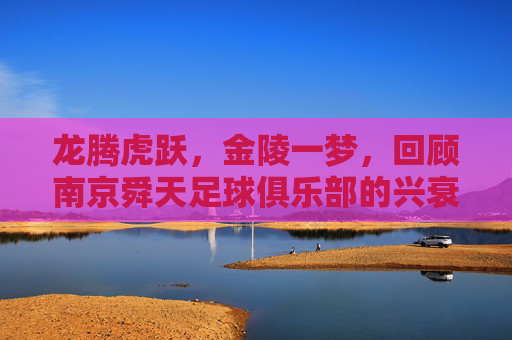 龙腾虎跃,金陵一梦,回顾南京舜天足球俱乐部的兴衰与荣光