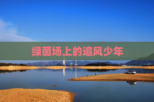 绿茵场上的追风少年