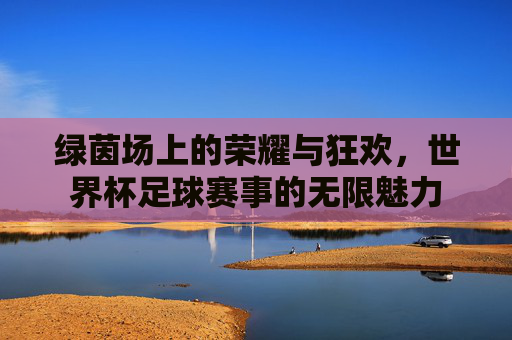 绿茵场上的荣耀与狂欢，世界杯足球赛事的无限魅力