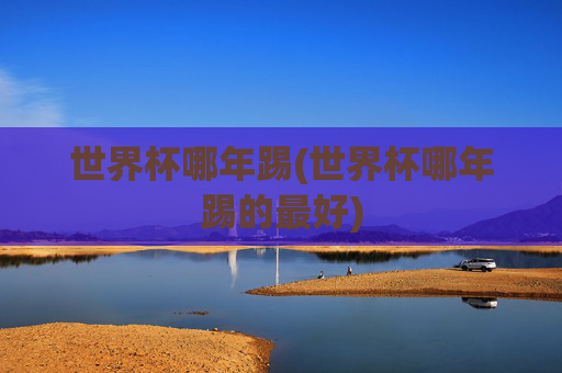 世界杯哪年踢(世界杯哪年踢的最好)