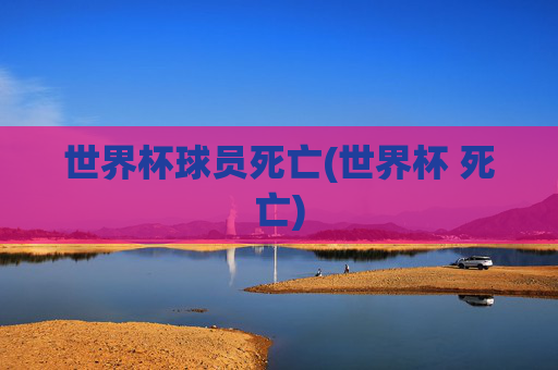 世界杯球员死亡(世界杯 死亡)