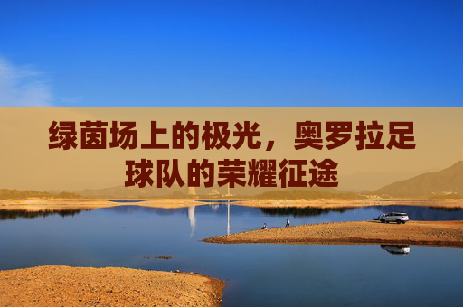 绿茵场上的极光，奥罗拉足球队的荣耀征途