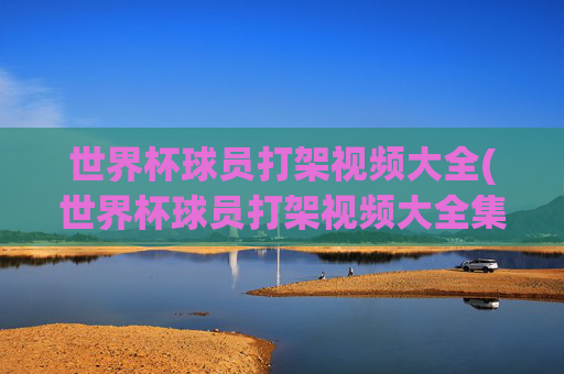 世界杯球员打架视频大全(世界杯球员打架视频大全集)