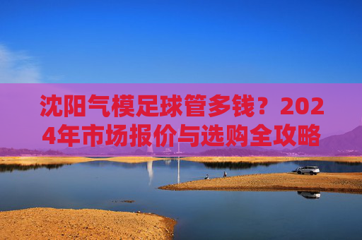 沈阳气模足球管多钱?2024年市场报价与选购全攻略