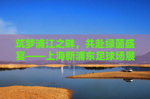 筑梦浦江之畔,共赴绿茵盛宴——上海新浦东足球场展望