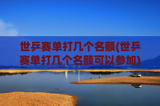世乒赛单打几个名额(世乒赛单打几个名额可以参加)