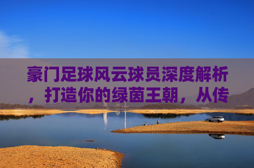豪门足球风云球员深度解析,打造你的绿茵王朝,从传奇巨星到潜力新星