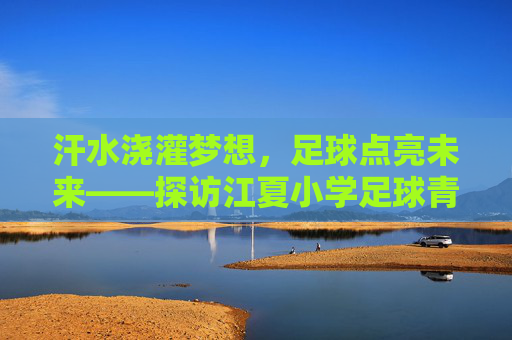 汗水浇灌梦想,足球点亮未来——探访江夏小学足球青训基地