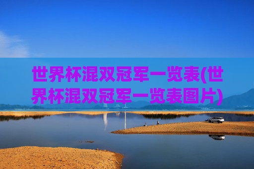 世界杯混双冠军一览表(世界杯混双冠军一览表图片)