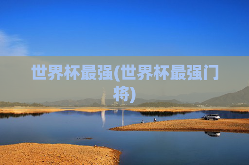 世界杯最强(世界杯最强门将)