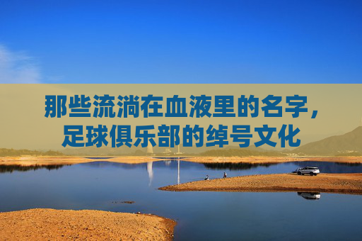 那些流淌在血液里的名字,足球俱乐部的绰号文化