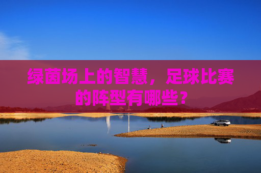 绿茵场上的智慧，足球比赛的阵型有哪些？