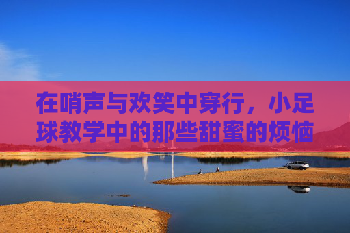 在哨声与欢笑中穿行,小足球教学中的那些甜蜜的烦恼