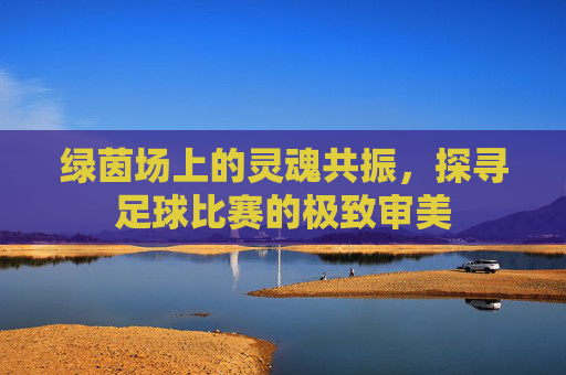 绿茵场上的灵魂共振，探寻足球比赛的极致审美